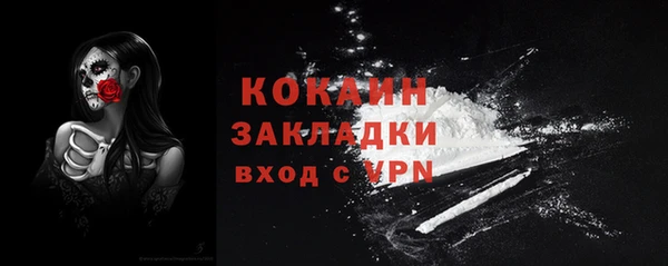 a pvp Пересвет